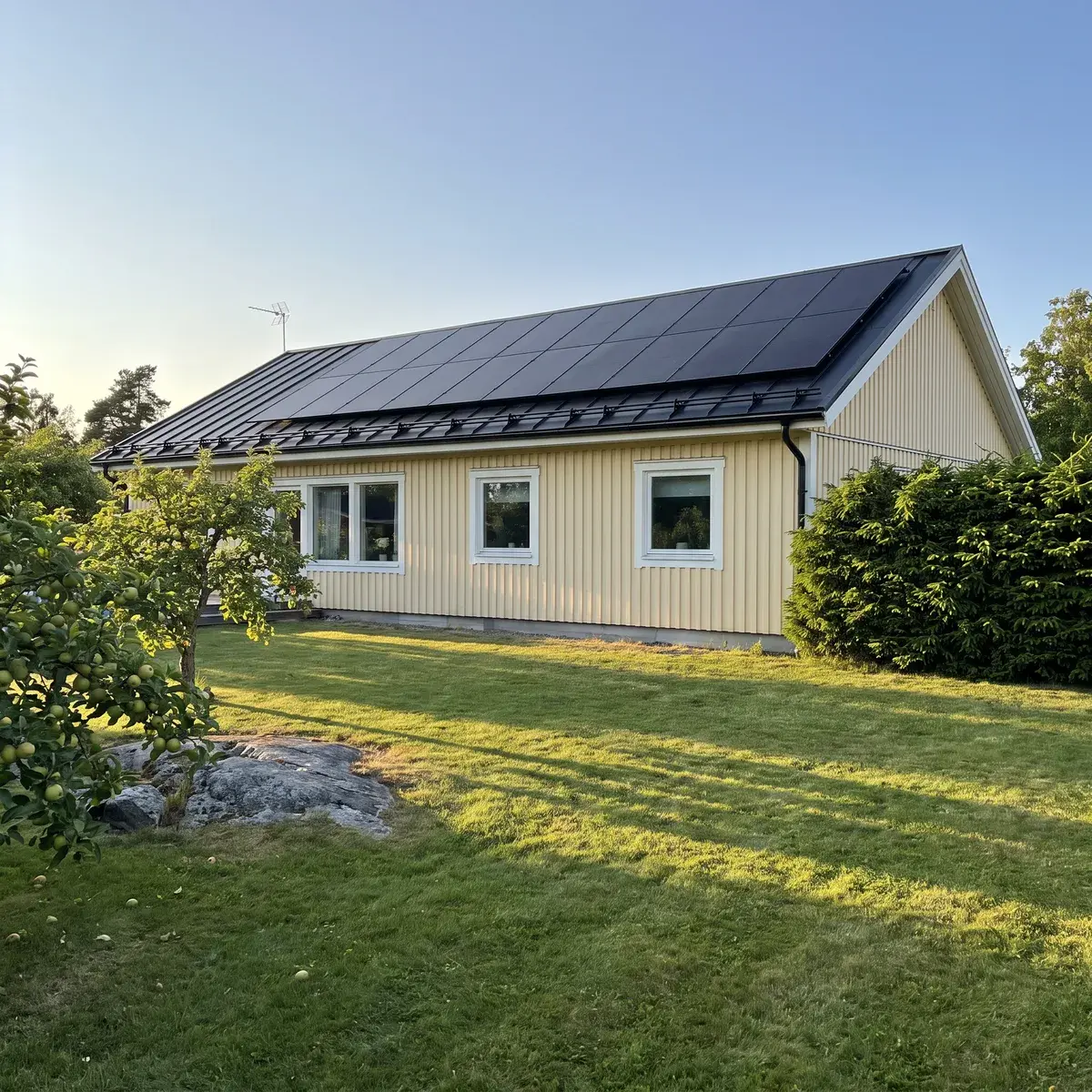 Ljusgul enplansvilla med svart plåttak och helsvarta Trina Vertex S+-paneler, sedd från trädgården i kvällssol.